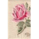 Superbe Rose en carte gaufrée "Heureuse Année" 1911