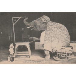 THEATRE CIRQUE EXOTIQUE. Animaux savants et cinématograpie Parlant 1934 l'Eléphant