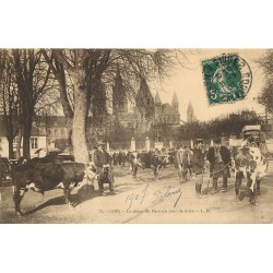 14 CAEN. Maquignons et Vaches Place du Parc jour de Foire 1907
