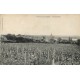 58 POUILLY-SUR-LOIRE. Vue de la Ville depuis les Vignes 1919