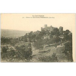 carte postale ancienne 46 CASTELNAU-BRETENOUX. Château 452