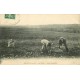 91 BRUNOY. Les Vallées scène Champêtre le ramassage des patates 1911