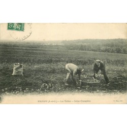 91 BRUNOY. Les Vallées scène Champêtre le ramassage des patates 1911