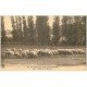 carte postale ancienne 03 BOURBONNAIS. Moutons au Pâturage