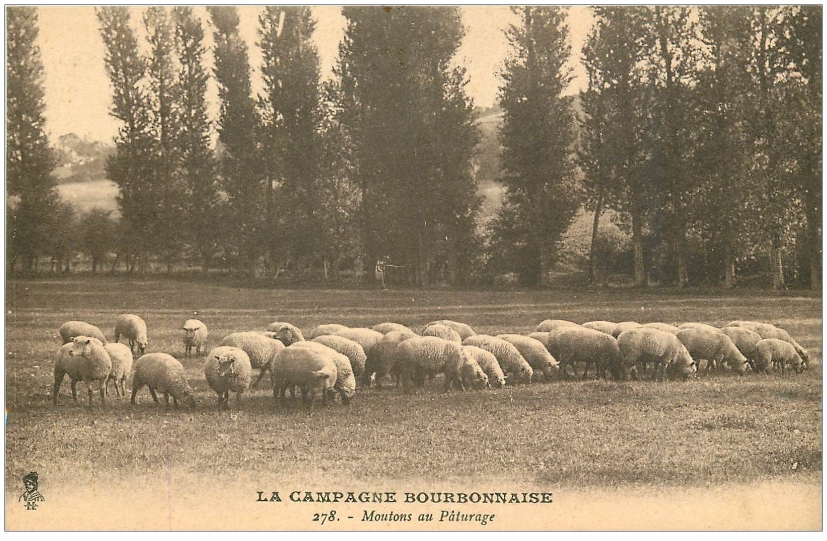 carte postale ancienne 03 BOURBONNAIS. Moutons au Pâturage