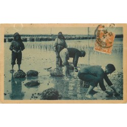33 ARCACHON. La Pêche aux Huîtres 1930