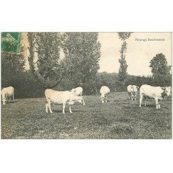 carte postale ancienne 03 BOURBONNAIS. Pâturage et Vaches