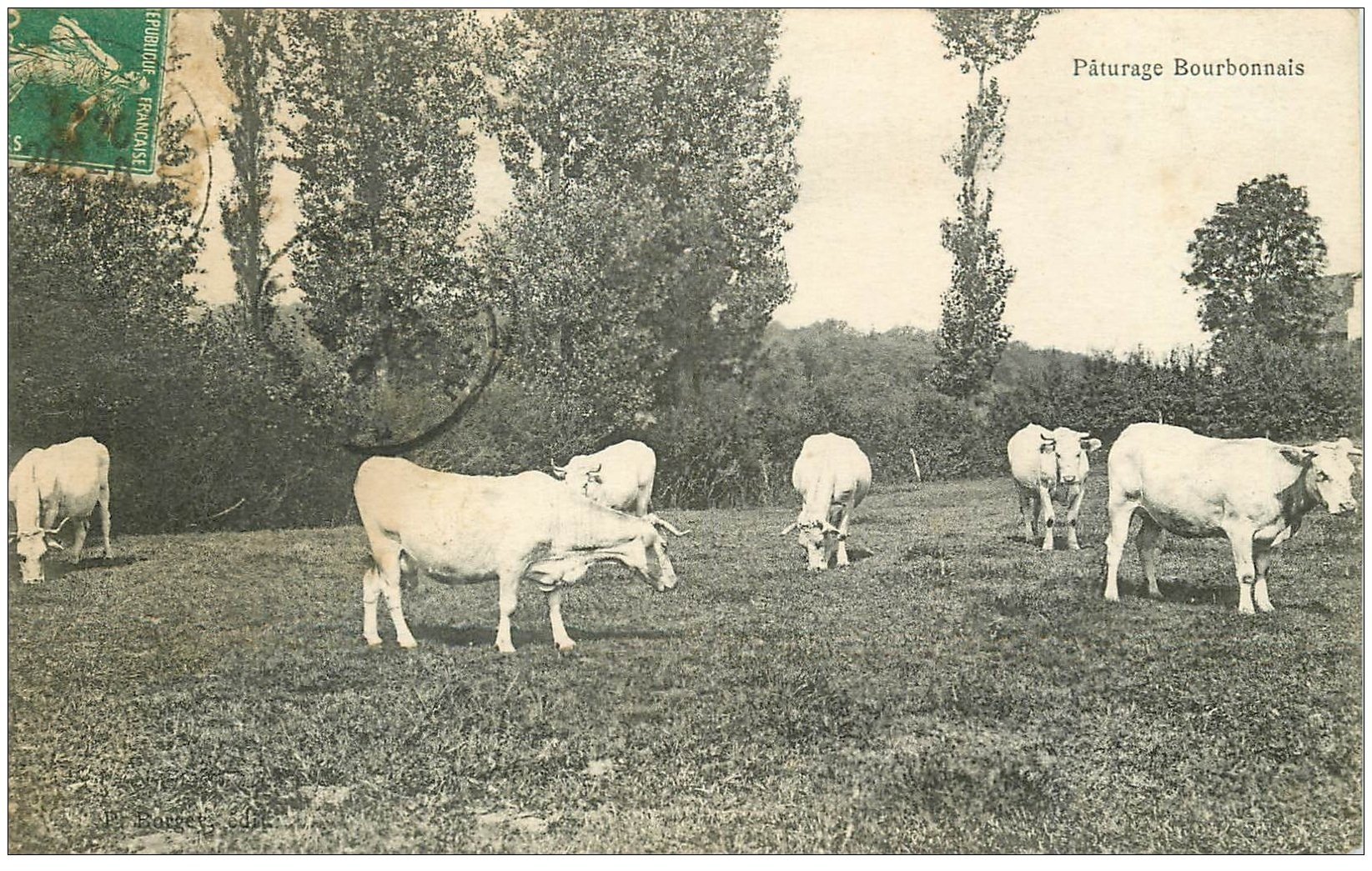 carte postale ancienne 03 BOURBONNAIS. Pâturage et Vaches