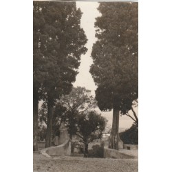 83 SAINT-TROPEZ. Rare Carte Photo 1931 Photografiée par Saurel