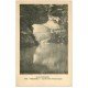 carte postale ancienne 46 PADIRAC. Gouffre rivière souterraine