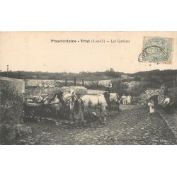 78 PISSEFONTAINE TRIEL. Les Carrières à Gypse avec Attelage 1906