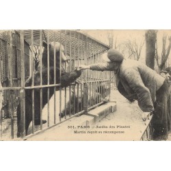 PARIS 05 Jardin des Plantes. L'Ours Martin reçoit sa récompense 1921