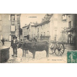 15 CANTAL & AUVERGNE. Attelage Cantalien de Boeufs 1915