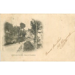 5 cpa 60 CREPY-EN-VALOIS. Route Compiègne, Eglise Bouillant, Château et Maison St-Joseph 1902