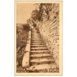 carte postale ancienne 17 BROUAGE. Escalier Louis XIV et Mancini. Aunis et Saintonge. Editions Bergevin