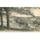 PROMO 2 cpa 29 PONT-AVEN. Panorama vu du Bois d'Amour et Chapelle de Tremaio 1918