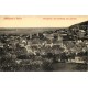 WEINGARTEN in Baden vom Eissberg aus gesehen 1909