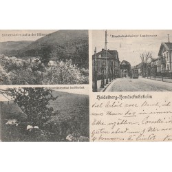 Allemagne. HEIDELBERG Handschuhsheim vers 1908