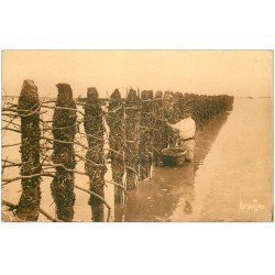 carte postale ancienne 17 CHATELAILLON. La Mytiliculture. Pêcheurs de Bouchots. Moules et Huîtres 1947