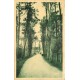 17 ILE D'OLERON. Voiture dans une Allée Forêt de Boyardville 1937