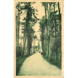 17 ILE D'OLERON. Voiture dans une Allée Forêt de Boyardville 1937