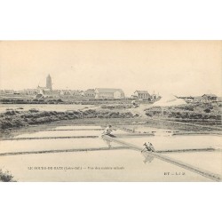 44 LE BOURG-DE-BATZ. Paludières vue des Marais salants