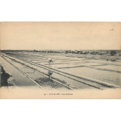 17 ILE DE RE. Paludiers dans les Salines