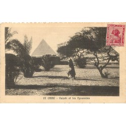 Egypte LE CAIRE. Guizeh et les Pyramides