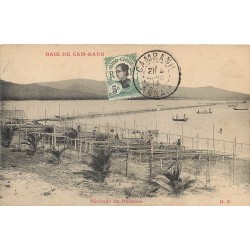 Viêt-Nam BAIE DE CAM-RANH. Séchage du Poisson 1913