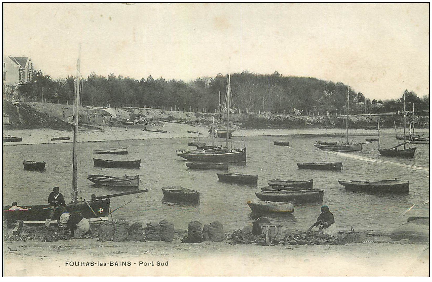 17 FOURAS-LES-BAINS. Le Port Sud . Déchargement et triage des Huîtres