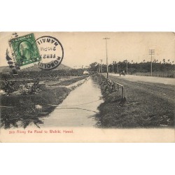 HAWAII. Along the Road to Waikiki vers 1914