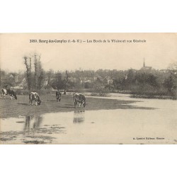 35 BOURG-DES-COMPTES. Vaches paissant sur les Bords de la Vilaine