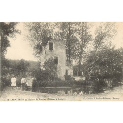 89 ASNIERES. Ruines ancien Château d'Avrigny animation