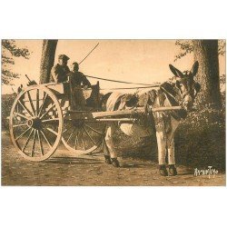 carte postale ancienne 17 ILE DE RE. Le Bois. L'âne en culotte. Attelage