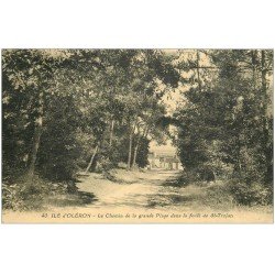 carte postale ancienne 17 ILE D'OLERON. Chemin de la Grande Plage dans Forêt de Saint-Trojan 1931