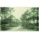 carte postale ancienne 17 ILE D'OLERON. Dolus. Forêt de Vertbois avec voitures