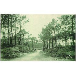 carte postale ancienne 17 ILE D'OLERON. Dolus. Forêt de Vertbois avec voitures