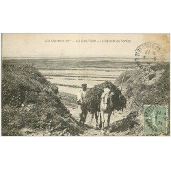 carte postale ancienne 17 ILE D'OLERON. La Récolte du Varech avec Cheval 1924