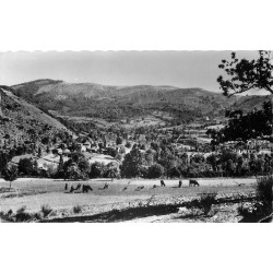 Photo cpsm 15 BONNAC. Vue générale avec vaches dans le Pré 1963