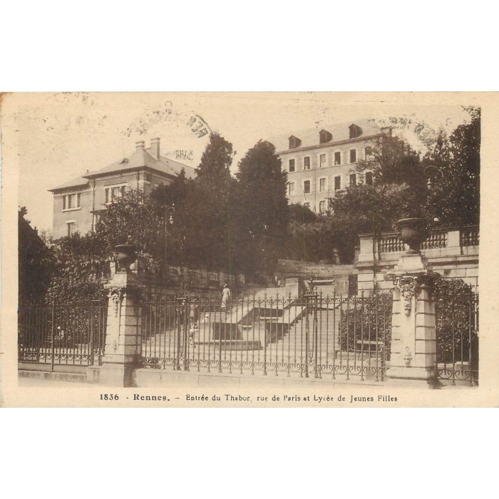 Bastia : le renouveau de la rue « Droite