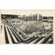 31 TOULOUSE. Grande Piscine Municipale