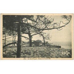 carte postale ancienne 17 LA GRANDE COTE. Etude 1938