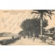 2 cpa 06 CANNES. Promenade de la Croisette 1903 et 1925