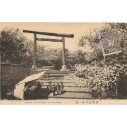 Japan YOKOHAMA. Cherry Blossom Noge Hill 1913