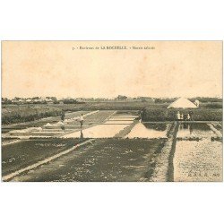 carte postale ancienne 17 LA ROCHELLE. Les Marais Salants. Travail du Sel. Paludiers et Salins et Mulons