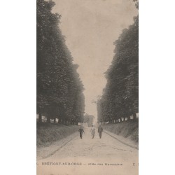 91 BRETIGNY-SUR-ORGE. Allée des Maronniers animée vers 1910