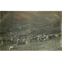 07 POYOLS. Photo cpa éleveurs avec troupeau de Moutons et Chèvres 1908