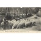 64 SCENES ET TYPES METIERS. Berger des Pyrénées avec son troupeau de Moutons .