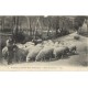 64 SCENES ET TYPES METIERS. Berger des Pyrénées avec son troupeau de Moutons .