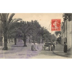 Algérie BOUFARIK. Attelage Boulevard National 1913